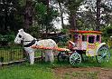 Pyin U Lwin Floral display 1